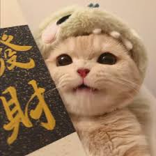 Avatar do usuário Fernanda